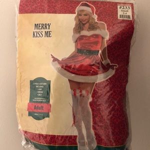 Mrs. Claus Halloween or Christmas Costume